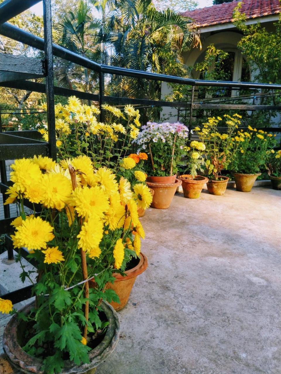 Chaiti Eco Homestay- Santiniketan 볼푸르 외부 사진