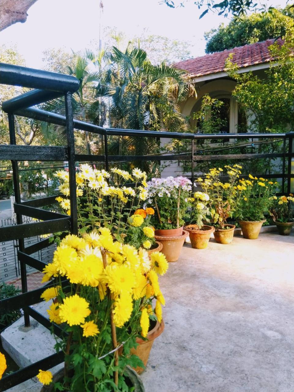 Chaiti Eco Homestay- Santiniketan 볼푸르 외부 사진